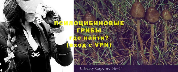 ПСИЛОЦИБИНОВЫЕ ГРИБЫ Абинск